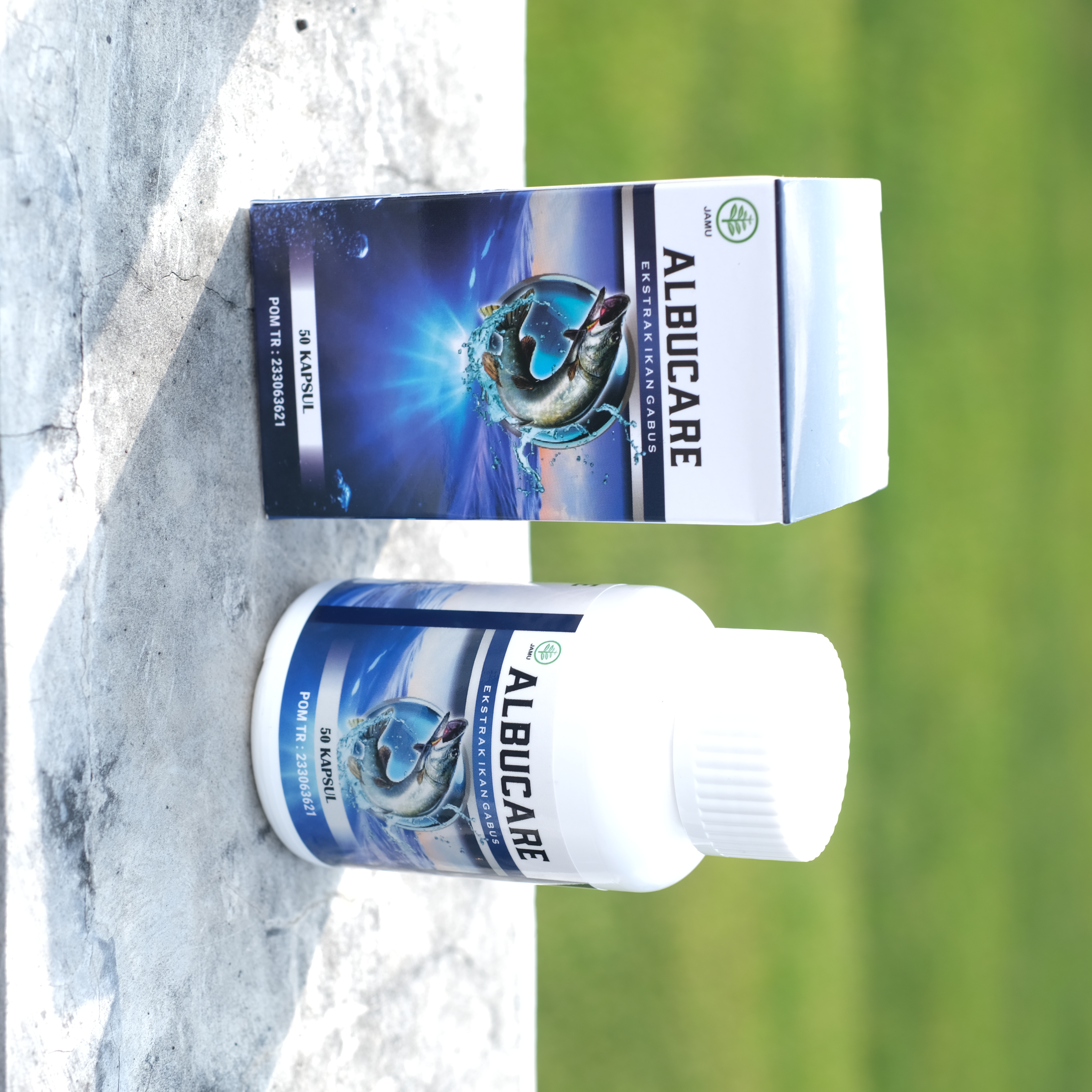 Albucare Ekstrak Ikan Gabus Asli 100% Original Aman Sudah Halal MUI dan BPOM Isi 50 Kapsul 3